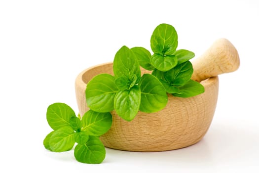 mint leaves in a mortar