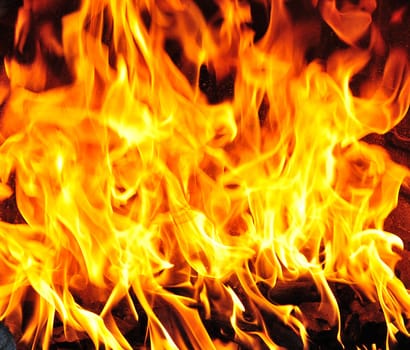 Fire without dismiss