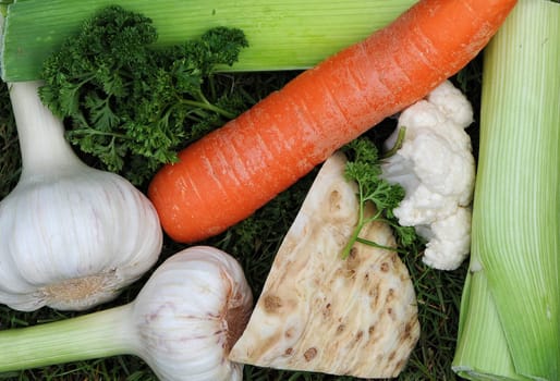 Soup vegetables