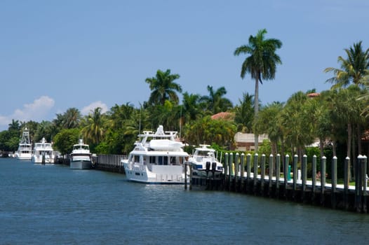 Fort Lauderdale,canal,river,residential area,residential settlement,community,yachts,ship,ships,large,luxury,wealth,white,house,villa,estate,boat,pier,anchor,harbor,pier,Florida,promenade,shore,stay,river,quay,cruise,excursion,too