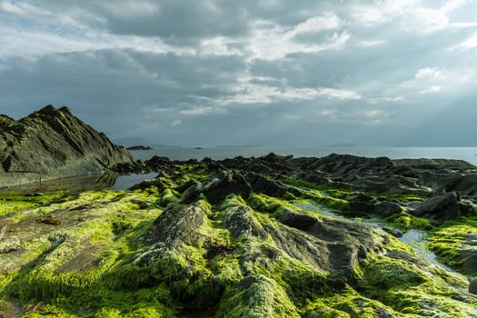 Coast of Scotland