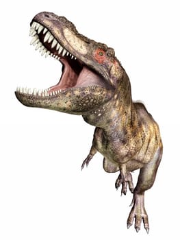 Computer-generated 3D illustration with the dinosaur Tyrannosaurus Rex isolated on white background