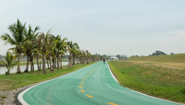 Bicycle lane in the park