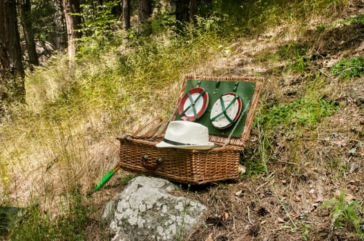 Vintage wicker picnic suitcase on mountain meadow background