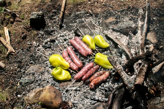 Raw sausages and peppers preparing on hot fireplace wood embers during picnic in forest meadow