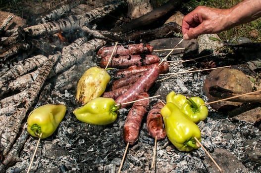 Raw sausages and peppers preparing on hot fireplace wood embers during picnic in forest meadow