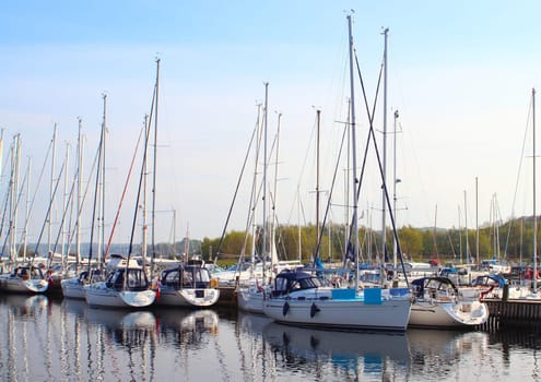 Yacht harbor in east Denamrk with forest in background