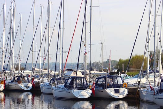 Yacht harbor in east Denamrk with forest in background