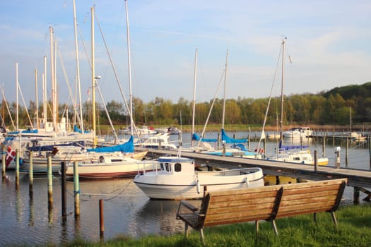 Bench at yacht harbor in east Denmark with forest in background