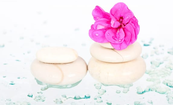 Spa stones and pink flower on white background