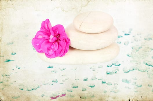 Vintage photo of spa stones and pink flower