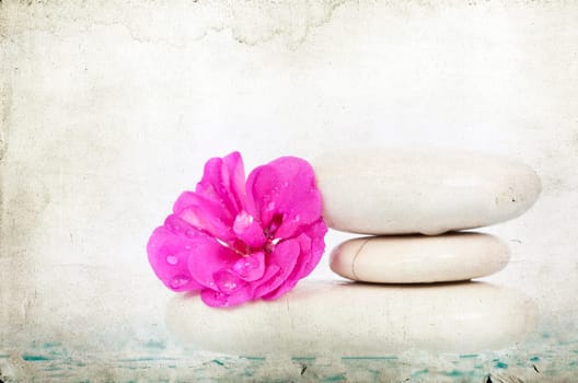 Vintage photo of spa stones and pink flower