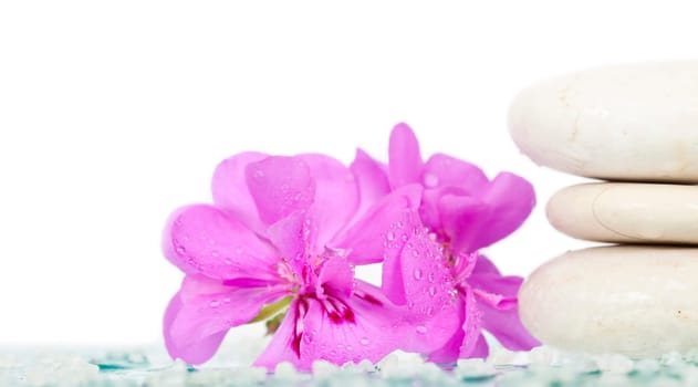 Spa stones and pink flower on white background