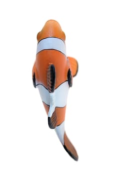 A close up shot of a Clown Fish
