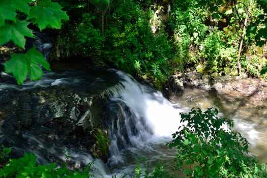Creek with cascades in Slovak Paradise
