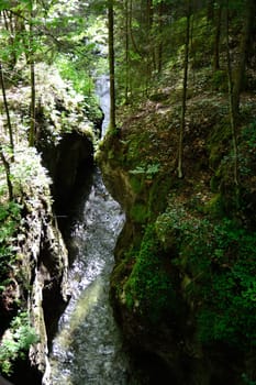 Forest river with rocky banks