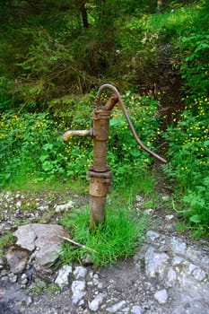 Vintage Hand Water Pump in Forest