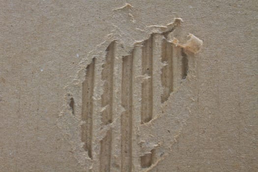riped vintage paper on cardboard grunge background