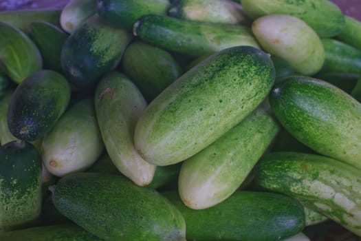 Fresh green cucumber collection on market close up