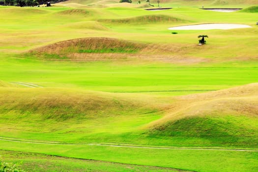 Beautiful golf place with nice background for adv or others purpose use