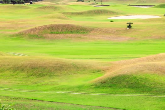 Beautiful golf place with nice background for adv or others purpose use
