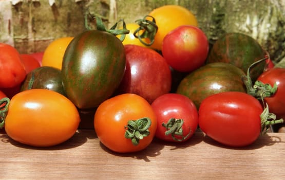 Tomato Mix