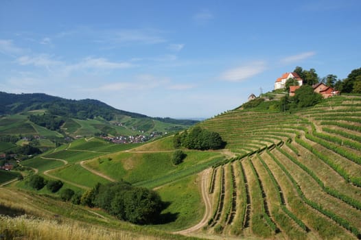 Staufenberg Castle in Durbach