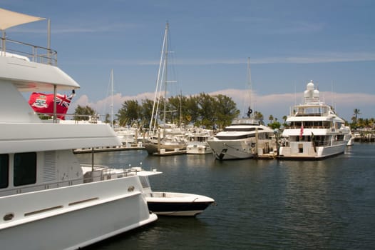 marina,port,yachts,ships,pier,quay,mooring,parking,many,large,ship,Fort Lauderdale,Florida,USA,America,berth