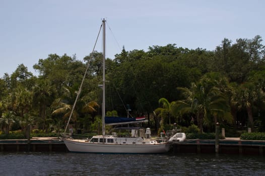 Sailboat,Riverwalk,Harbour,Pier,Anchor,Fort Lauderdale,Florida,Pier,Mast,White,Yacht,Palm Trees,Walkway,Promenade,Shore,Canal,River,Quay,Luxury,Center,City,Sailing,Cruise