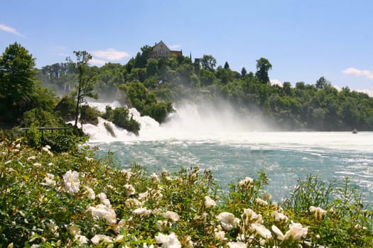 Rhine falls