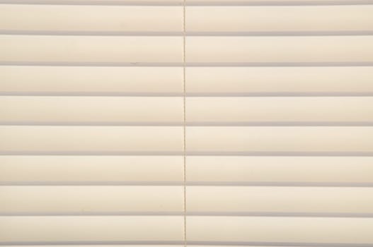 Mini blinds are closed in a window at morning, lit from inside room.
