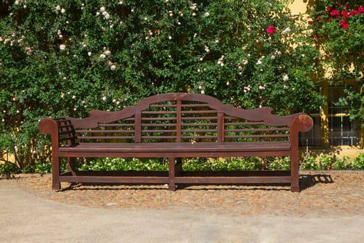Wooden bench in the park. Climbing roses on the wall in the background.