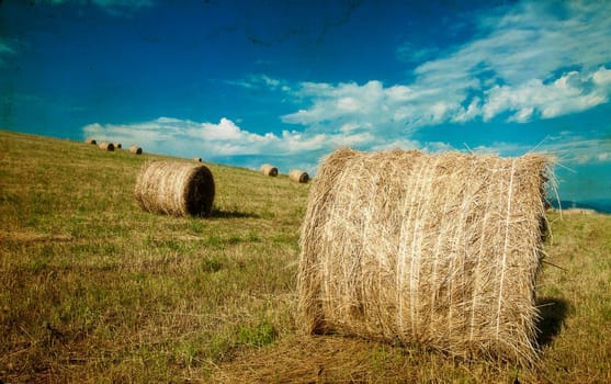 Vintage photo of hay-roll on field after harvest