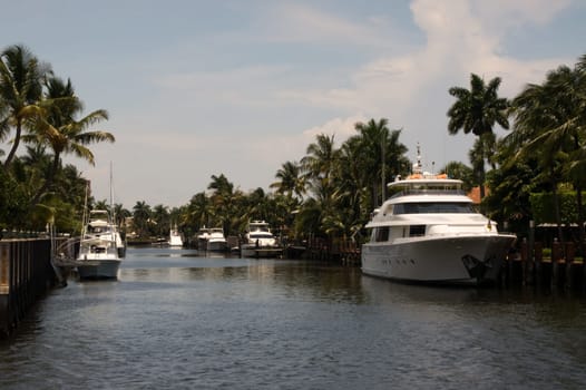 Fort Lauderdale,canal,river,residential area,residential settlement,community,yachts,ship,ships,large,luxury,wealth,white,house,villa,estate,boat,pier,anchor,harbor,pier,Florida,promenade,shore,stay,river,quay,cruise,excursion,too