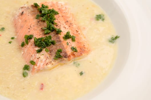 Wild salmon with creamy soup of savoy