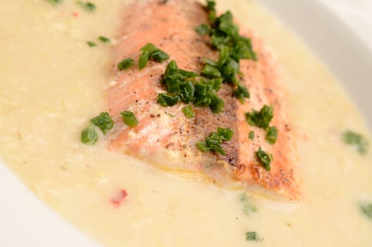 Wild salmon with creamy soup of savoy