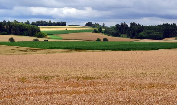 View over meadows and fields