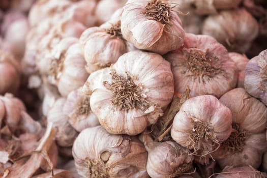 Fresh garlic on display at local market