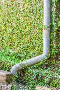 Aluminum rain gutter