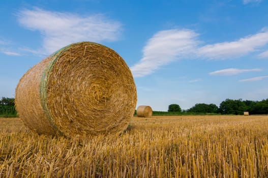 Hay bales