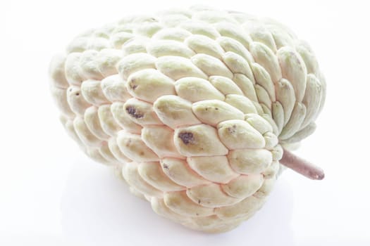 Unripe custard apple isolated on white background
