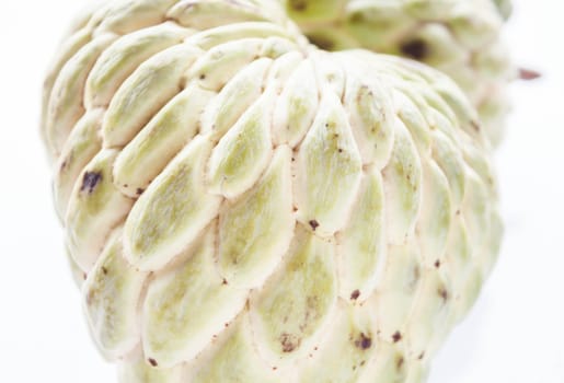 Close up peel texture of unripe custard apple