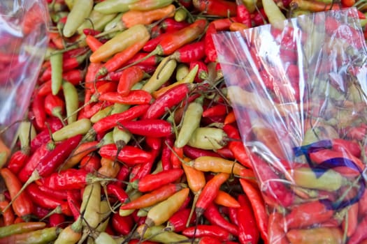 Lots of red,green and orange chili accompanied by a transparent plastic bag for sale at a market.