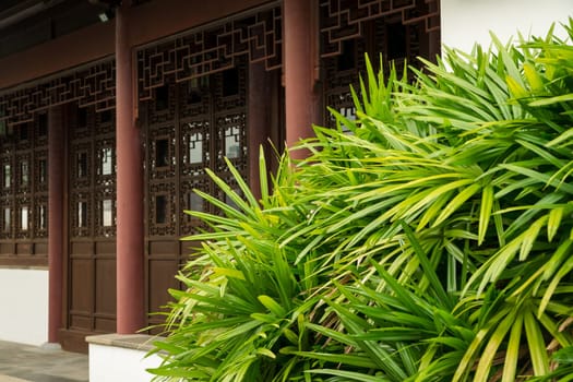 Detail of the door part of a traditional-style chinese house, partly covered by a bush