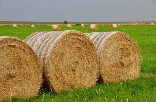 Straw bales
