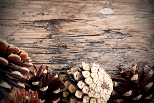 Fir Cones on Wooden Plank as Fall Background