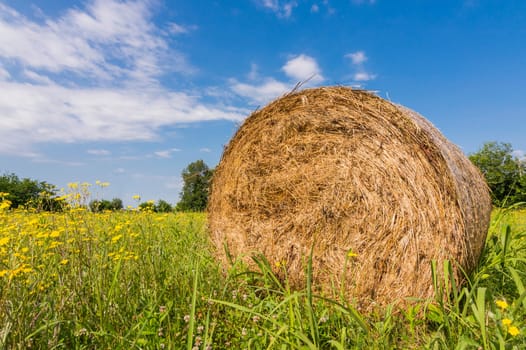 countryside and hay bales
