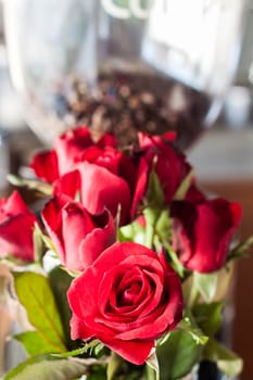 Beautiful fresh red roses