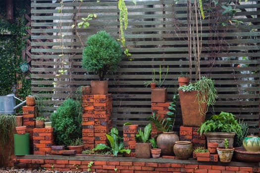 Backyard decorated with some tree and flower