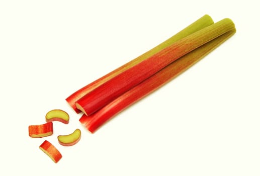 Rhubarb / pie plant (Rheum rhabarbarum)